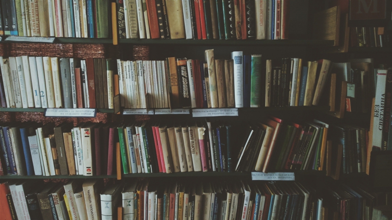 librairie-LA BASTIDE-min_bookcase-1869616